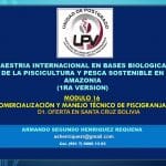 D1 2  OFERTA EN SANTA CRUZ  BOLIVIA Cifras