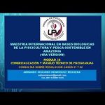 TUTORIAL Resolución Casos 01 y 02 PRECIOS