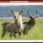 Innovative Ideas and power of networking by Victor Chanza