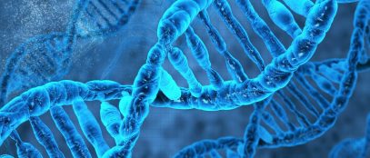 Unveiling the Marvels of Cell Biology: Exploring the Intricate World Within