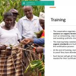 Case Study of Organic Certification Application by Niavo Landihajaina