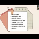 Etapas del desarrollo y signos de alerta  por Daniela Carillo