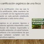 Agricultura Orgánica y el Enfoque Sistémico en los Procesos Agrícolas  por Carmen S