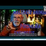 Sociopatía y Psicopatías por Magaly Masis