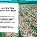 Gold Standard Application in Agriculture by Niavo Landihajaina