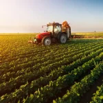 The Gold Standard Application in Agriculture: Cultivating a Sustainable Future