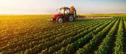 The Gold Standard Application in Agriculture: Cultivating a Sustainable Future