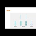 Análisis Clínico: Inmunología y Genética por Monica Fonseca