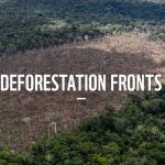 Comment on Together we have the power to reverse climate change by ARCILO VANEGAS