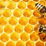 Heridas de la Infancia por Tamara Luque