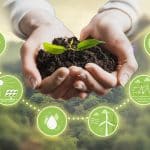 The Dangers of Increasing Complexity and the Coming Great Simplification