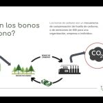 Qué son los bonos de carbono por Belén Silva