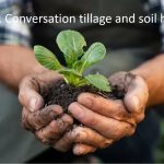 How to implement sustainable agriculture by Niavo Landihajaina