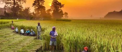 Implementing Sustainable Agriculture: Practices for a Greener Future