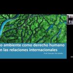 Medio ambiente como derecho humano en las relaciones internacionales por Gonzalo Fernández