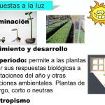 Efectos y Riesgos del Clima en la Producción Agropecuaria por Carmen Solorzano