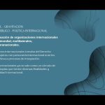 Críticas y cuestionamientos al modelo de las organizaciones internacionales por Gonzalo U