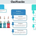 Gestión de Resíduos Biológicos por Vilma Chinchilla