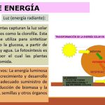 Explorando el Flujo de Energía en la Biosfera y su Impacto Futuro en la Agricultura por Carmen Sol S