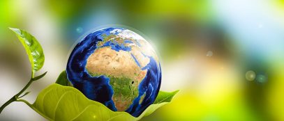 Environmental Health: The Impact of Environmental Factors on Human Health