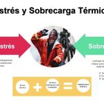 Trabajos en AltasTemperaturas por Vilma Antonieta C