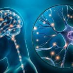 Explorando los Principios de la Evaluación Neuropsicológica