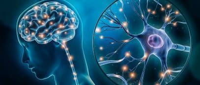 Explorando los Principios de la Evaluación Neuropsicológica