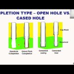 Introduction to Well Completions by Syed Hassaan A