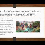 ¿Cómo responder a los desafíos de nuestra naturaleza biológica? por Tobias R.