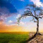 Understanding Climate Change and How to Contribute to Solutions