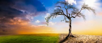 Understanding Climate Change and How to Contribute to Solutions