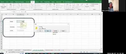 Domina tus Datos en Excel: Limpieza, Validación y Formularios para el Éxito Empresarial por Hilda L