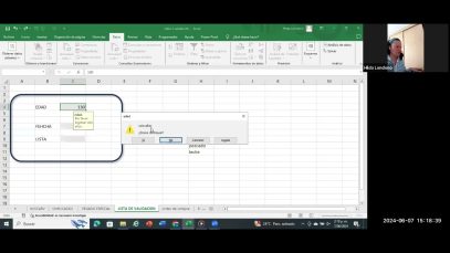 Domina tus Datos en Excel: Limpieza, Validación y Formularios para el Éxito Empresarial por Hilda L