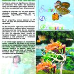 Comment on “Spring in Autumn 2019” Celebrating my 41 years as a writer, by Lucila M. Del Rosario by najlepsí binance odkazov’y kód