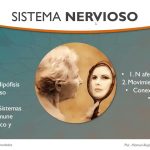 El Nervio Vago: El Puente Entre Cuerpo y Mente Para Una Salud Integral por Manuel P.