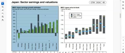 Risk Perception in 2024 Among Emerging Market Economies by Abdulkadir D