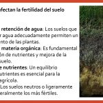 El Suelo: Formación, Composición y Salud por Carmen Sol S