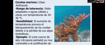 Interacciones en el Ecosistema por Carmen Sol S