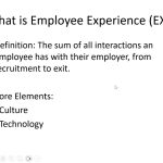 Employee Experience by Umar H