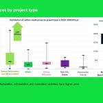 Steps to Developing Your Carbon Credit Project in Africa by Niavo Landihajaina R