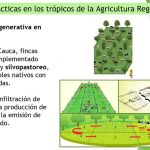 Agricultura Regenerativa por Carmen Sol S