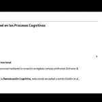 Neuropsicología de la Atención I por Tamara L