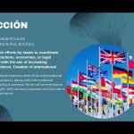Discussing and Questioning the International Organizations Model by Gonzalo U