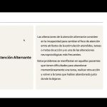 Alteraciones de los Componentes de la Atención III por Tamara L