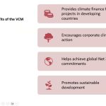 Voluntary Carbon Market by Niavo Landihajaina R