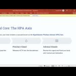 Stress Related Disorders