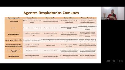 Seguridad Ocupacional MT