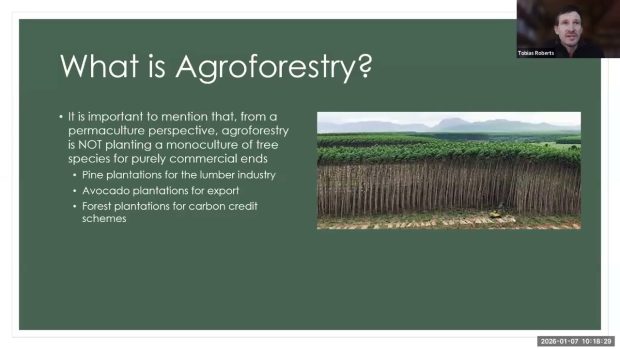 Why Trees Matter on Farms