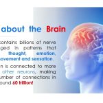 Artificial Intelligence in Action Applications