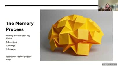 Memory Systems and Brains